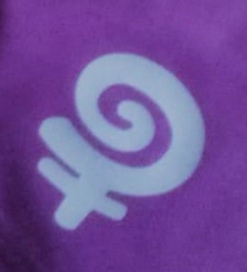 Plataforma Feminista de Villena